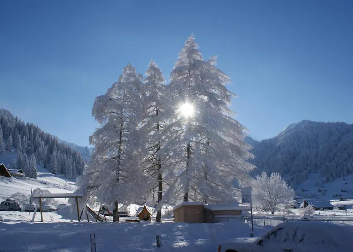 Ferien- Und Familienhotel Alpina Adelboden